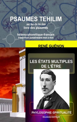 La Collection Religion-Spiritualité-Auteurs René Guesnon-Yaakov Raanan-Psaumes Tehilim -Livres métaphysique, symbolisme et la critique du monde moderne.